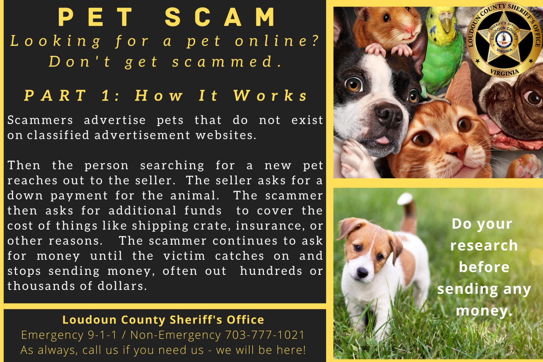 Pet Scam part 1.png